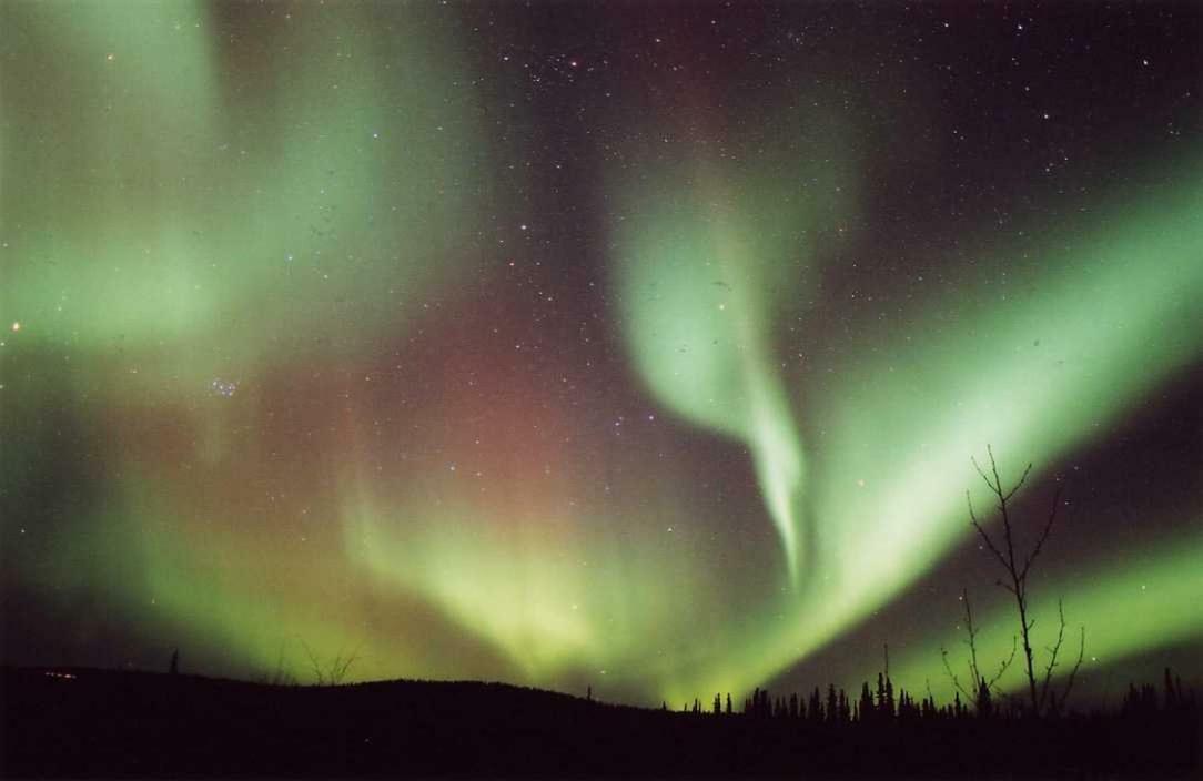 Northern Sky Lodge Фэрбанкс Экстерьер фото