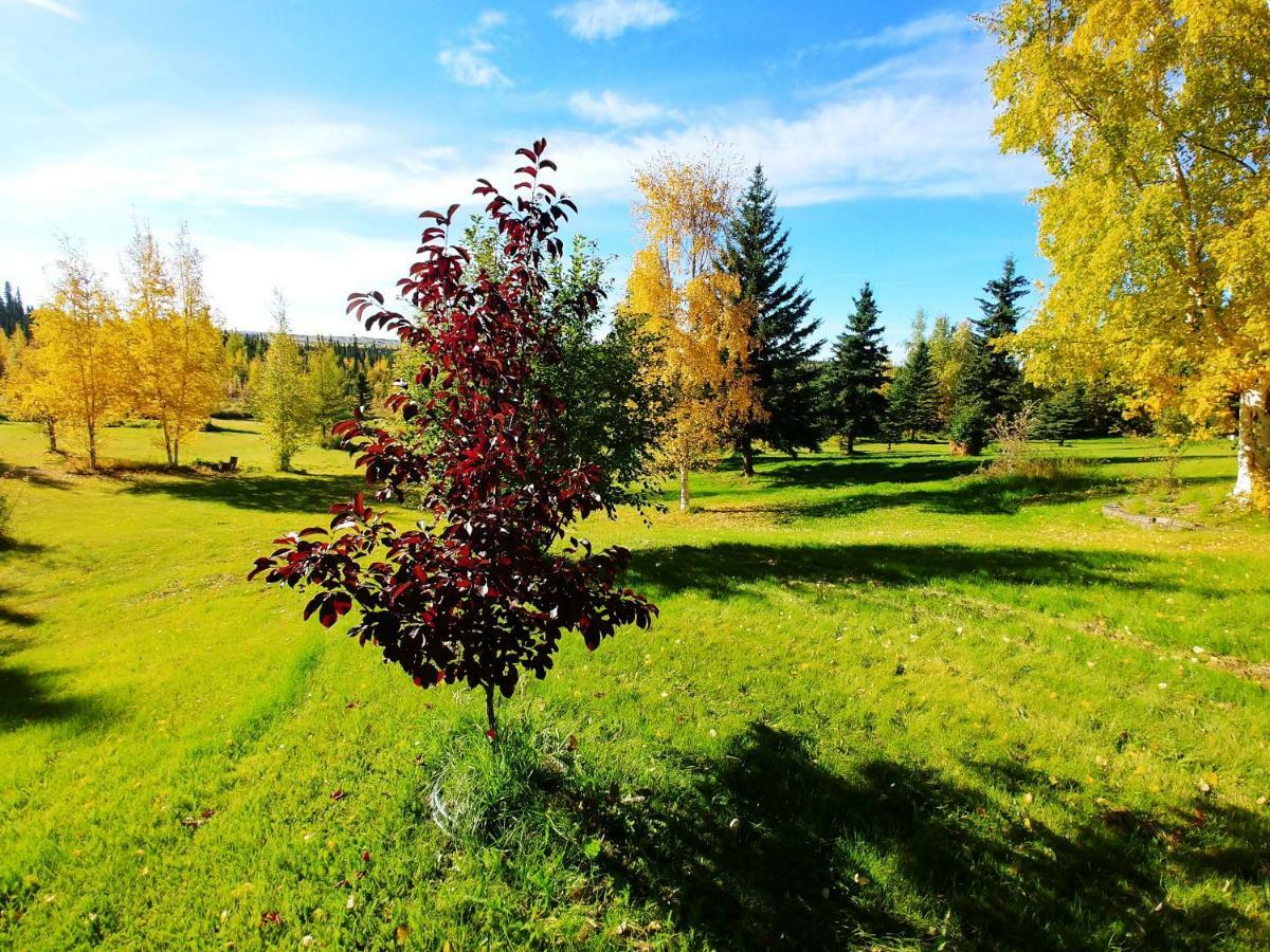 Northern Sky Lodge Фэрбанкс Экстерьер фото