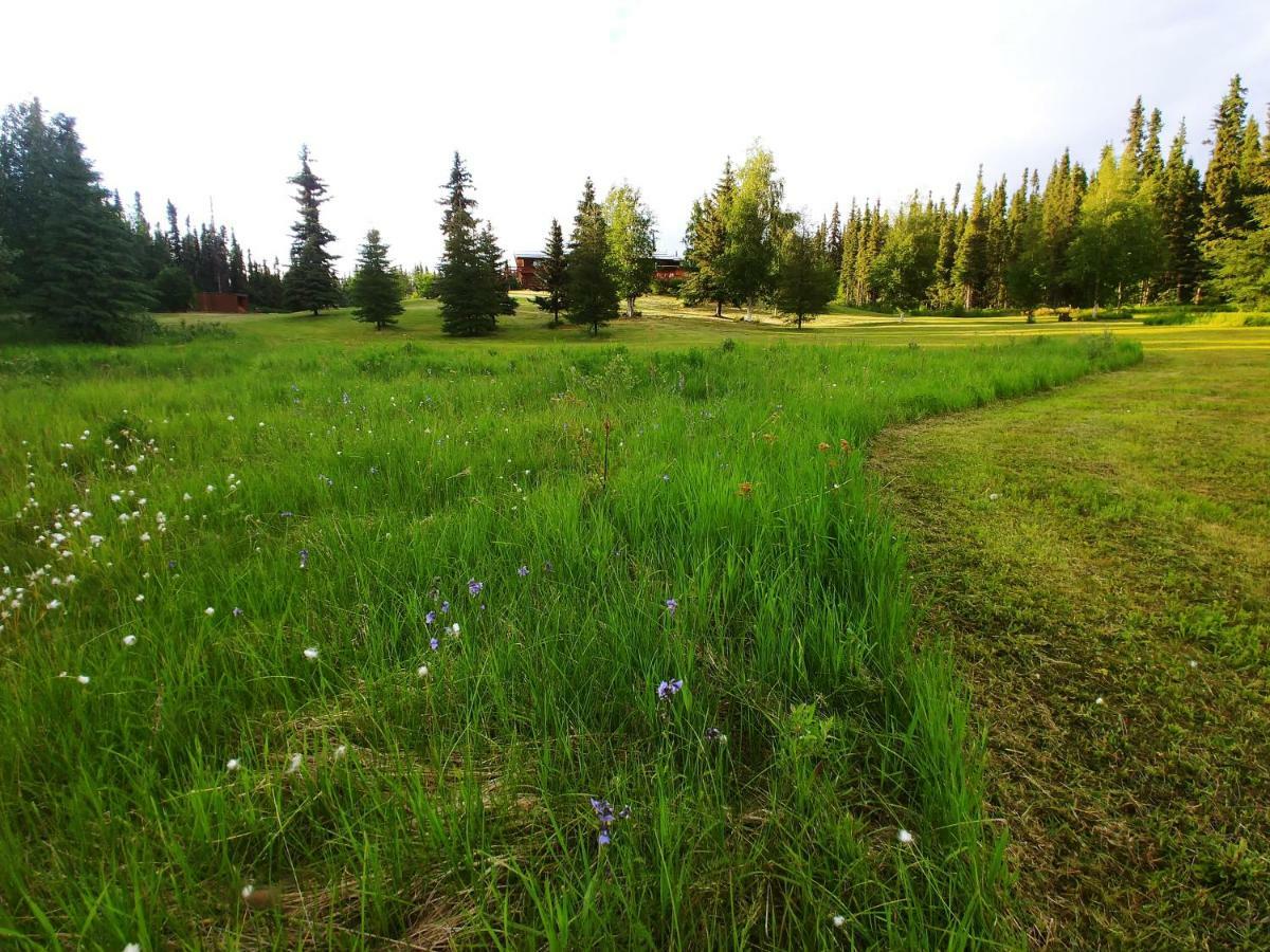 Northern Sky Lodge Фэрбанкс Экстерьер фото